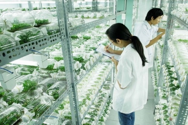Có Nên Học Công Nghệ Sinh Học Tại Singapore Không?